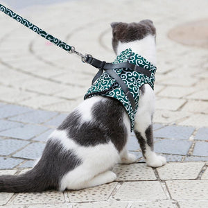 Geschirr und Leine der Katzenweste zum Gehen im Freien